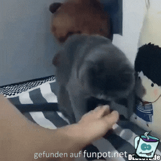 Pfui Teufel Pfui Teufel