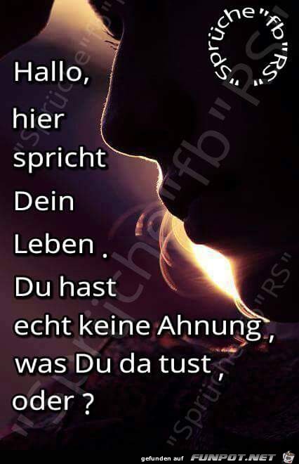Hallo da spricht Dein Leben Hallo da spricht Dein Leben