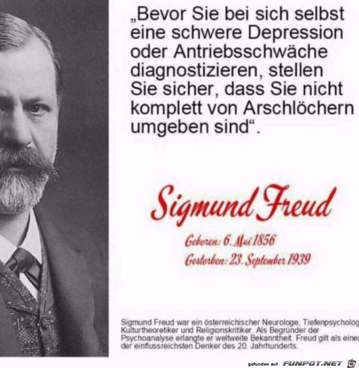 S. Freud S. Freud