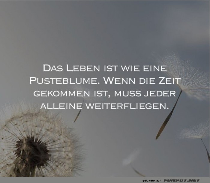 10 schne Sprche und Lebensweisheiten aus...