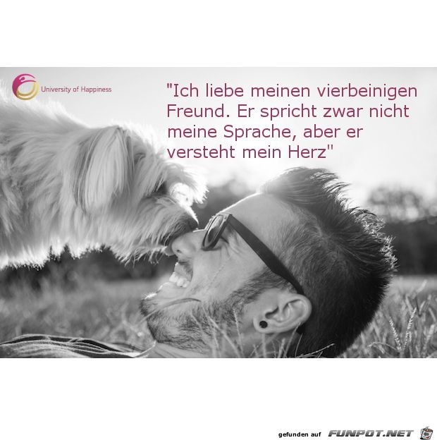 ich liebe meinen vierbeinigen Freund ich liebe meinen vierbeinigen Freund