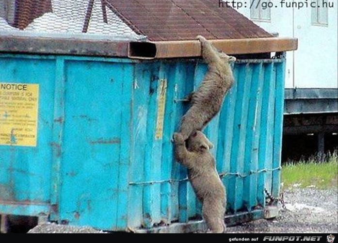 tiere39 tiere39