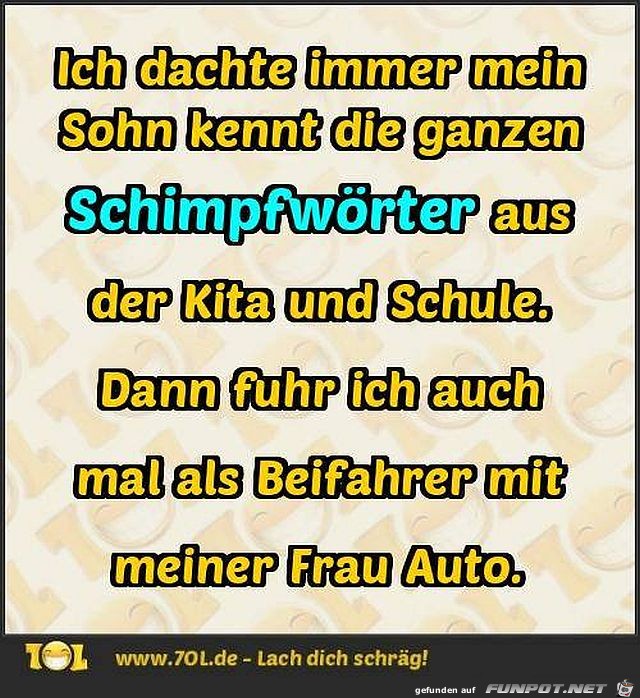 Schimpfwörter Schimpfwörter