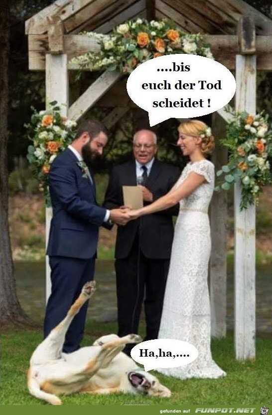 Sehr witzig Sehr witzig