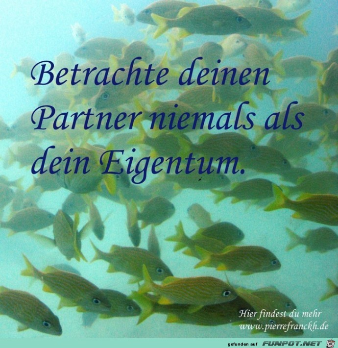 Betrachte deinen Partner Betrachte deinen Partner