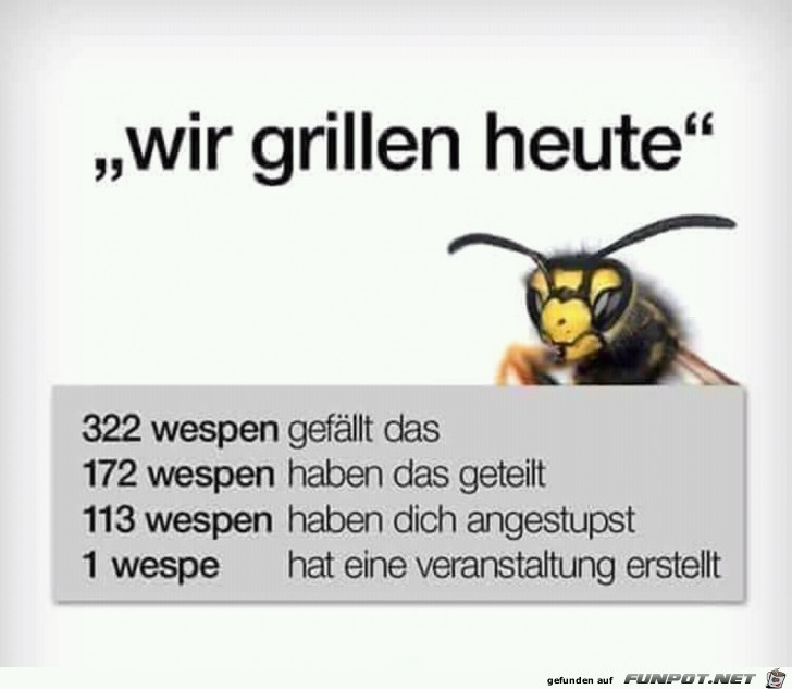 Wespen Wespen