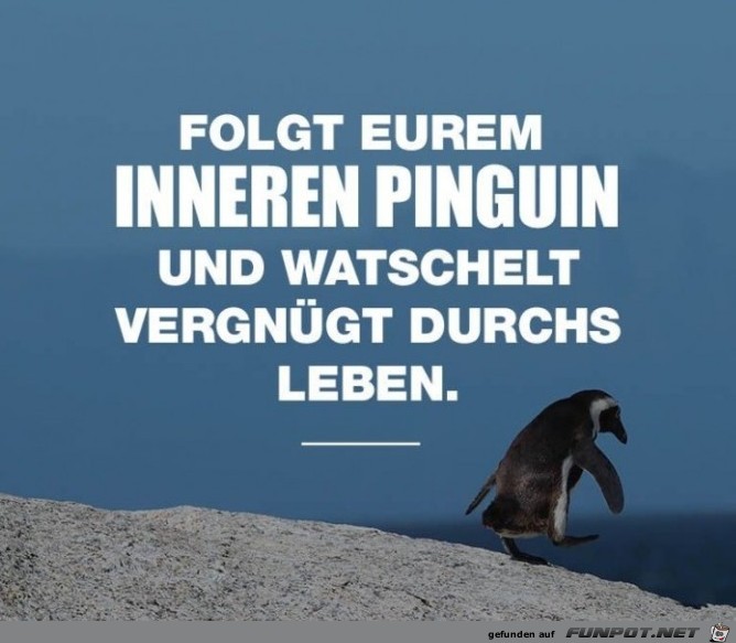 folgt eurem inneren Pinguin