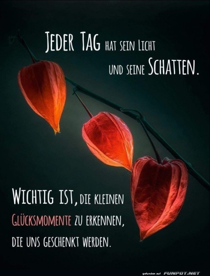 10 schne Sprche und Lebensweisheiten aus...