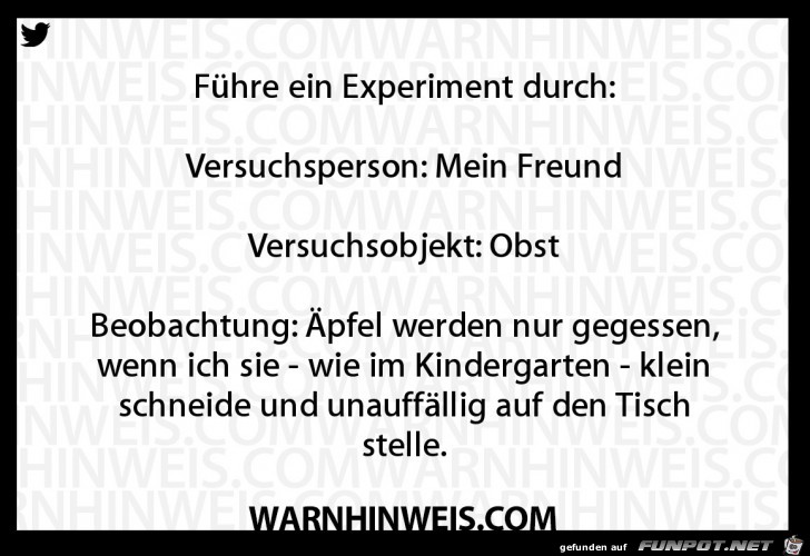 Experiment Experiment