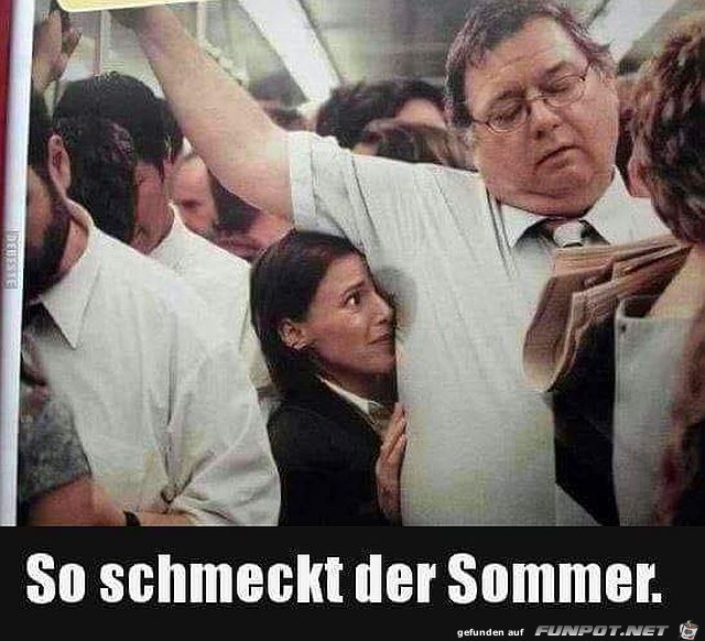 So schmeckt der Sommer So schmeckt der Sommer