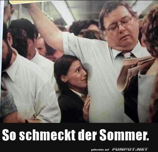 so schmeckt der Sommer.......