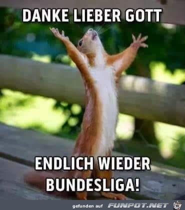 Danke Danke