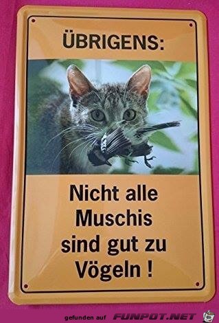 Übrigens Übrigens