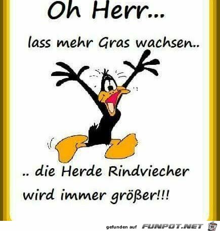 Oh Herr....... Oh Herr.......