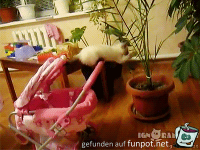 Nicht sicher Nicht sicher