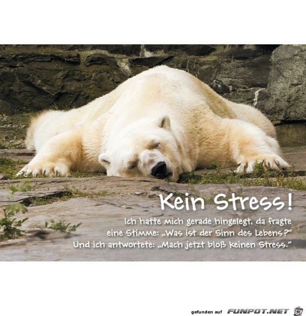 kein Stress kein Stress