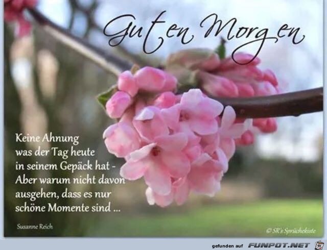 keine Ahnung keine Ahnung