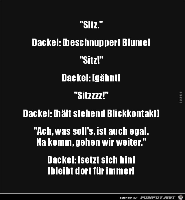 So ist ein Dackel eben