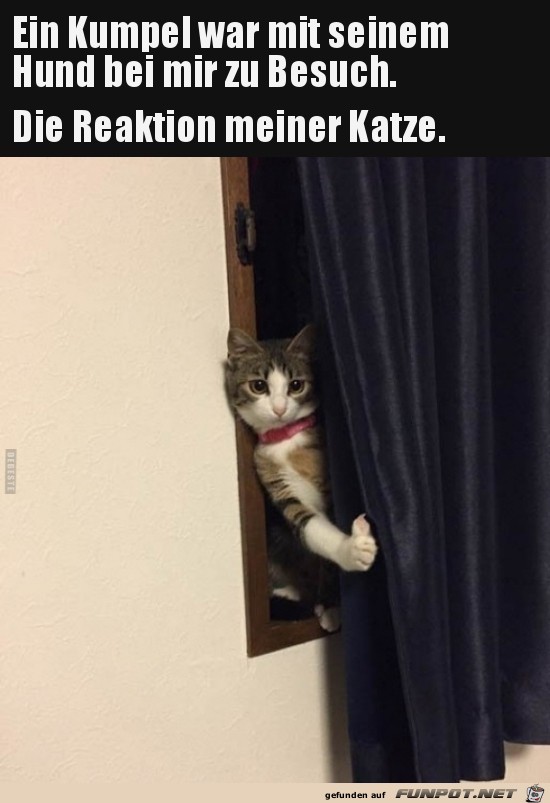 Sind sie weg Sind sie weg