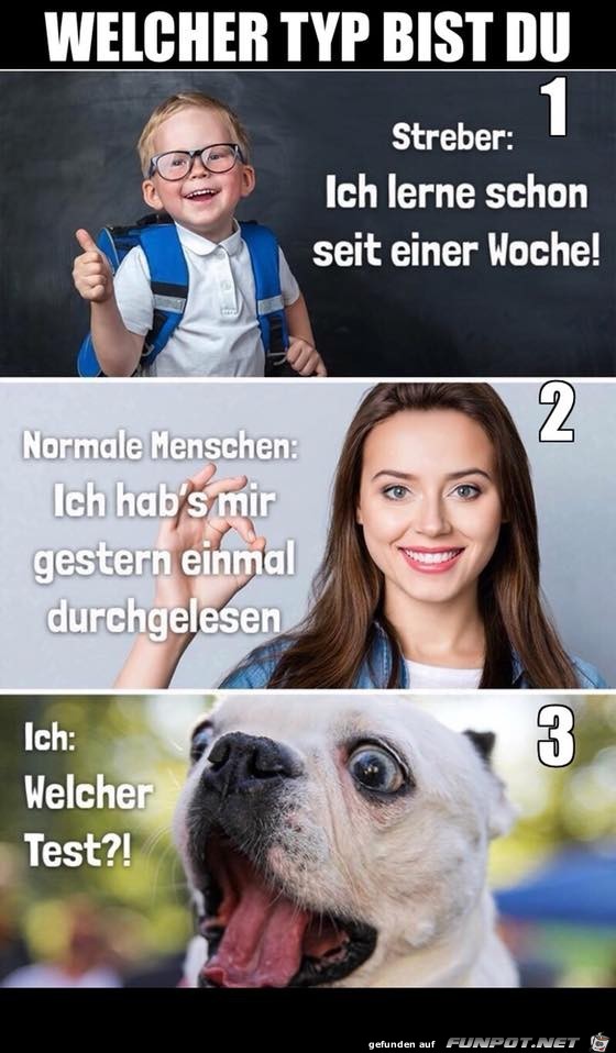 Welcher Typ bist Du Welcher Typ bist Du