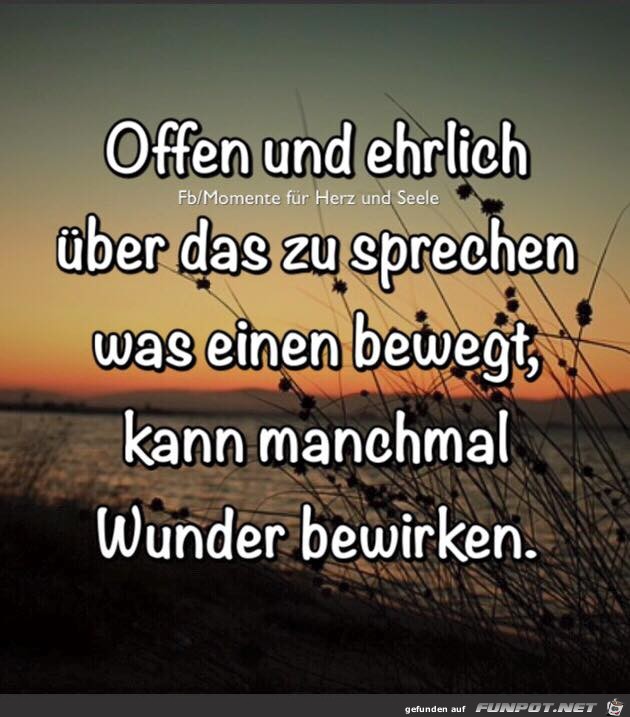 Offen und ehrlich Offen und ehrlich