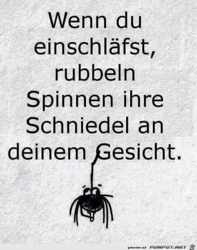 Tolle Vorstellung Tolle Vorstellung