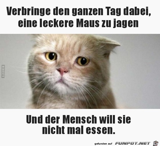 Böser Mensch Böser Mensch