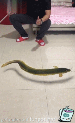 3-D Bild 3-D Bild