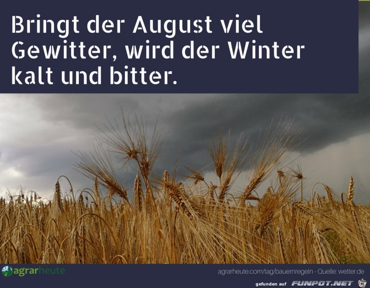 Bauernregel August Bauernregel August