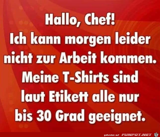 T-Shirt T-Shirt