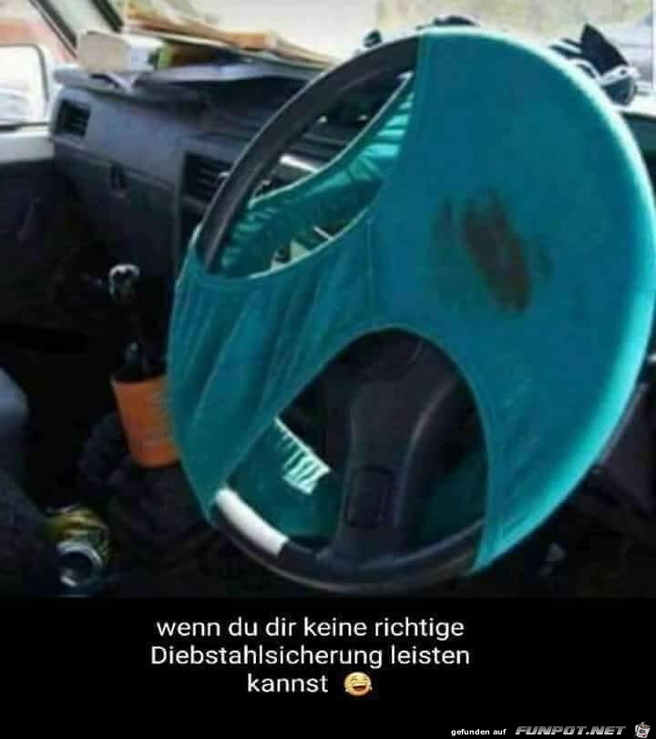 Diebstahlsicherung im Auto...