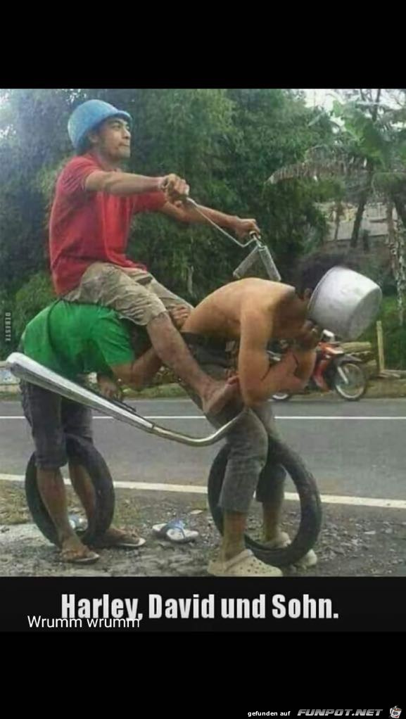 Harley David und Sohn Harley David und Sohn