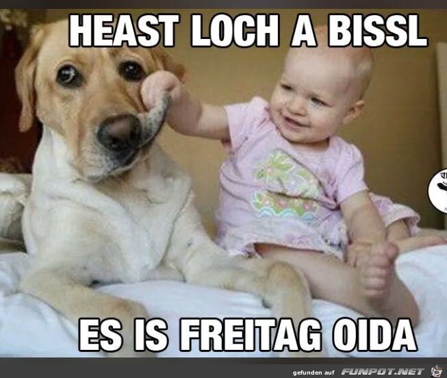 lach ein wenig lach ein wenig