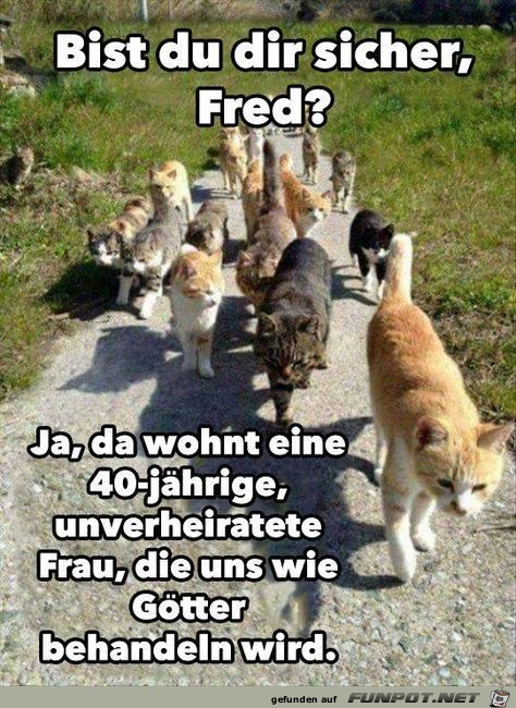 bist du sicher Fred?