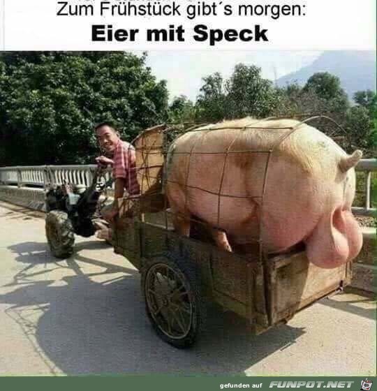 Eier mit Speck