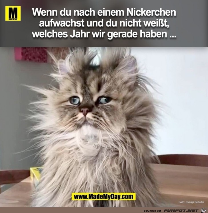 wenn du nach einem Nickerchen