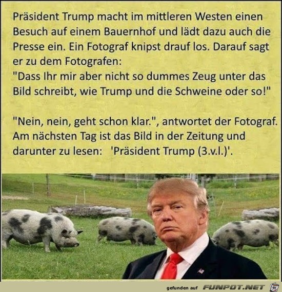 Trump macht einen Besuch.....