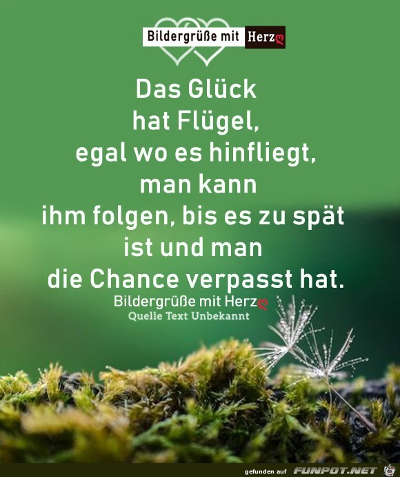 Das Glueck hat Fluegel