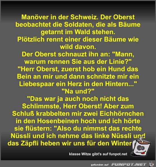 Manöver in der Schweiz Manöver in der Schweiz