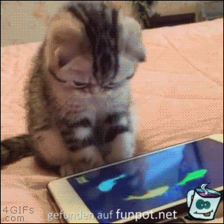 Katze und Handybildschirm Katze und Handybildschirm