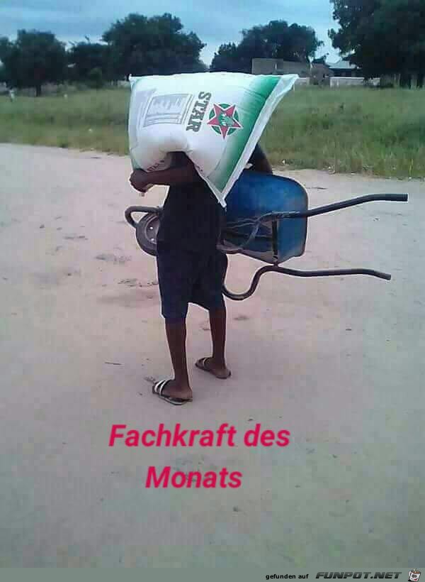 Fachkraft des Monats