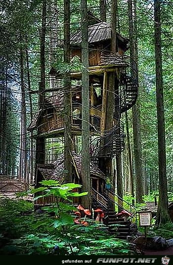 Baumhaus im Wald Baumhaus im Wald