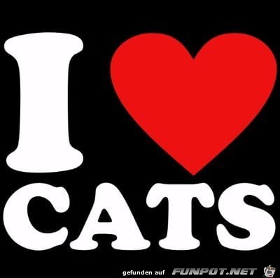 Ich liebe Katzen