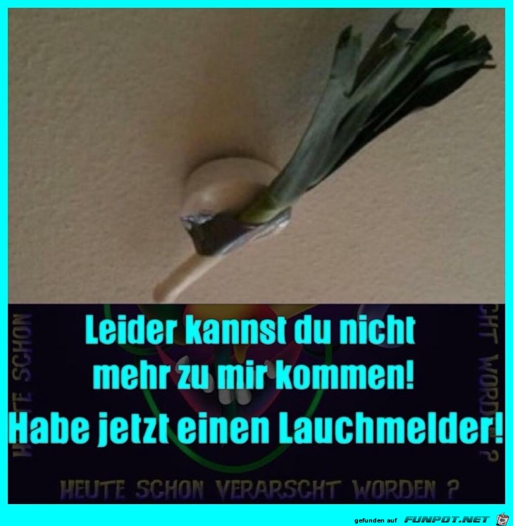 Lauchmelder Lauchmelder