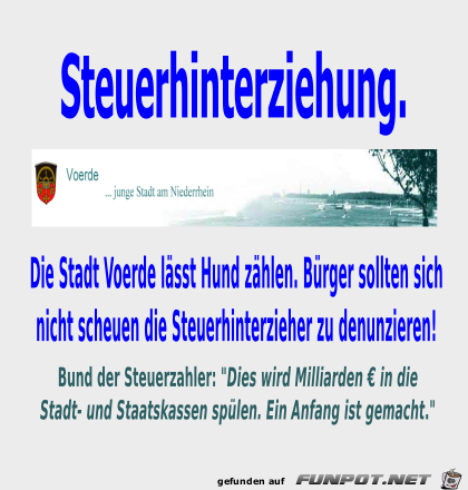 Steuerhinterziehung