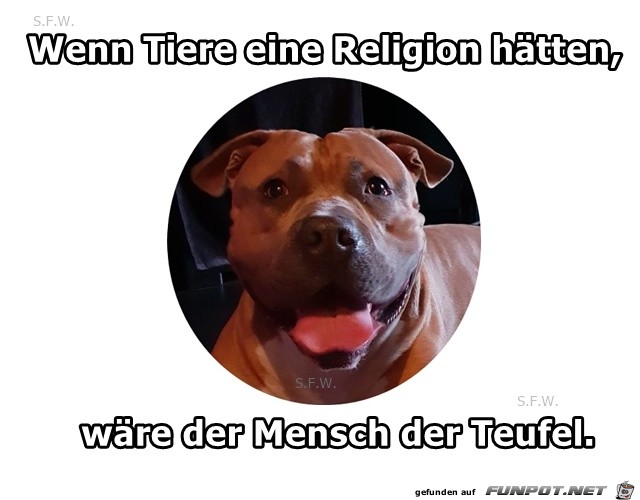 Wenn Tiere eine Religion