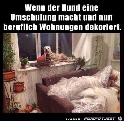 Neue Deko Neue Deko