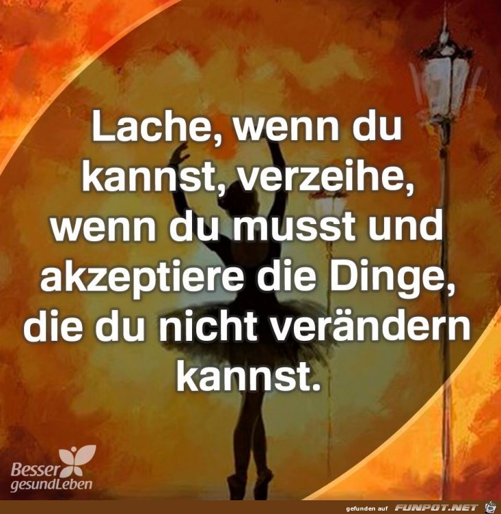 Lache Lache
