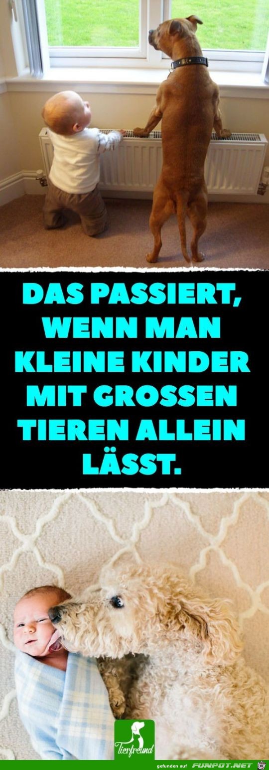 das passiert das passiert