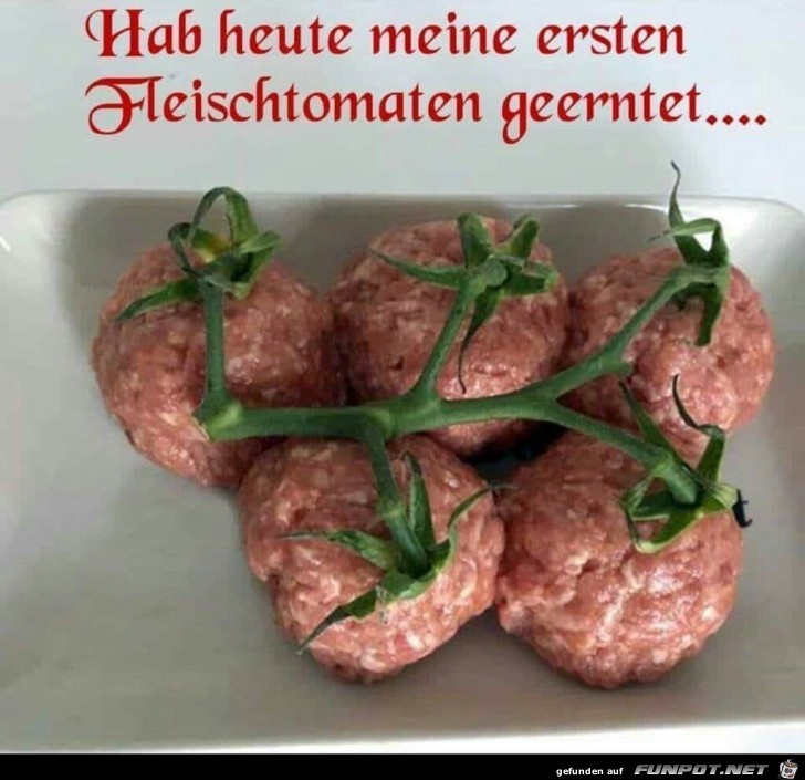 fleischtomaten